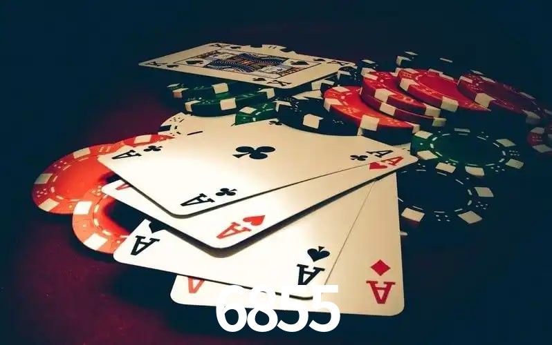 6855 visual 2