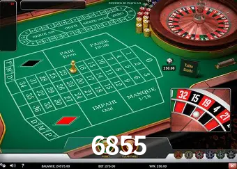 Descubra o Mundo do Cassino Online com 6855