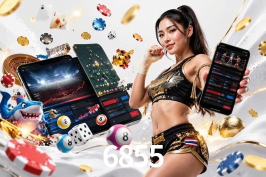 Flash Promotion 6855